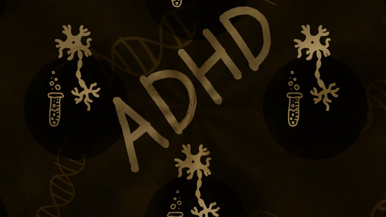4d7694b2b8ffb874dc6fd860a5a6611e_1746161367_215.jpg